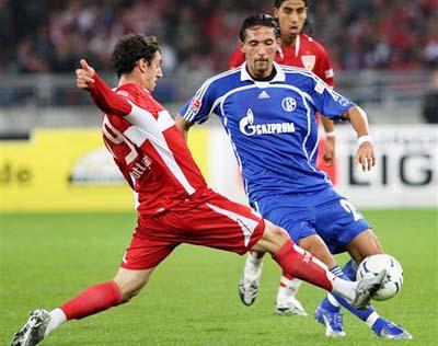 马在危险区 马在危险区